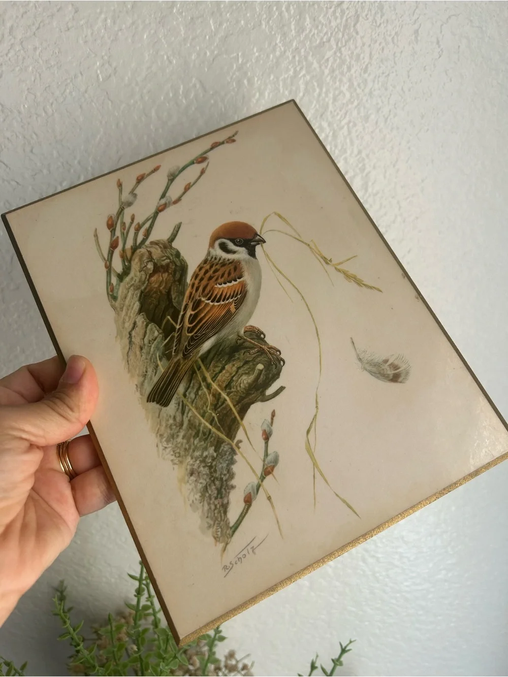 Vintage Bird Print on Wood with Sparrow Illustration - Cream & Brown